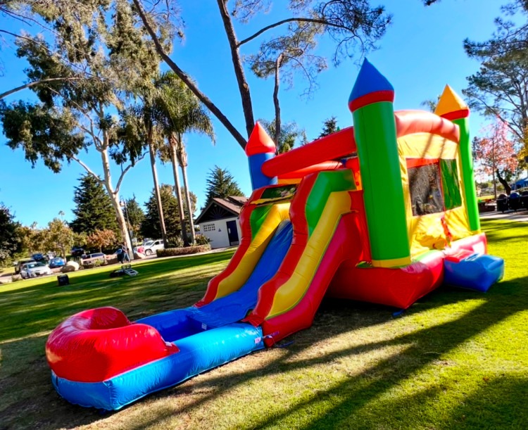 Castle Bounce House with Slide - Wet