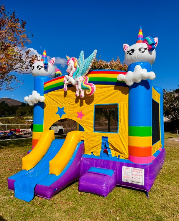 Unicorn Bounce House with Slide - Dry