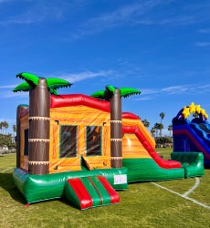 Palm Tree Bounce House with Slide - Dry