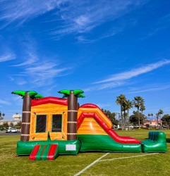 IMG 0717 1739992165 Palm Tree Bounce House with Slide - Dry