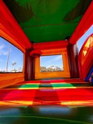 Palm Tree Bounce House with Slide - Dry