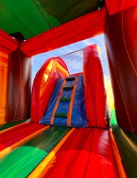 Palm Tree Bounce House with Slide - Dry