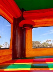 Palm Tree Bounce House with Slide - Dry