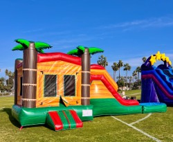 Palm Tree Bounce House with Water Slide