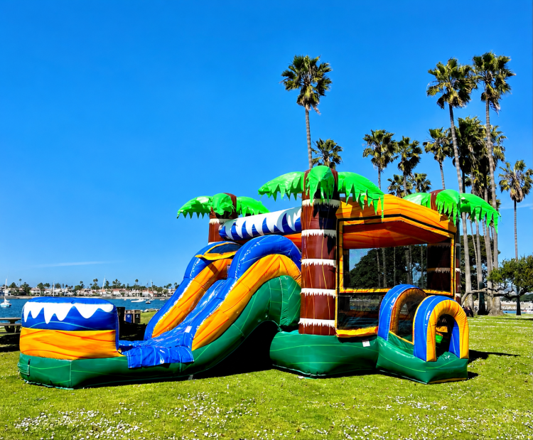 Combo Bounce Houses with Slides Combo Bounce Houses with Slides